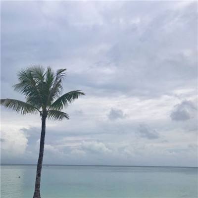 星空体育安卓app下载